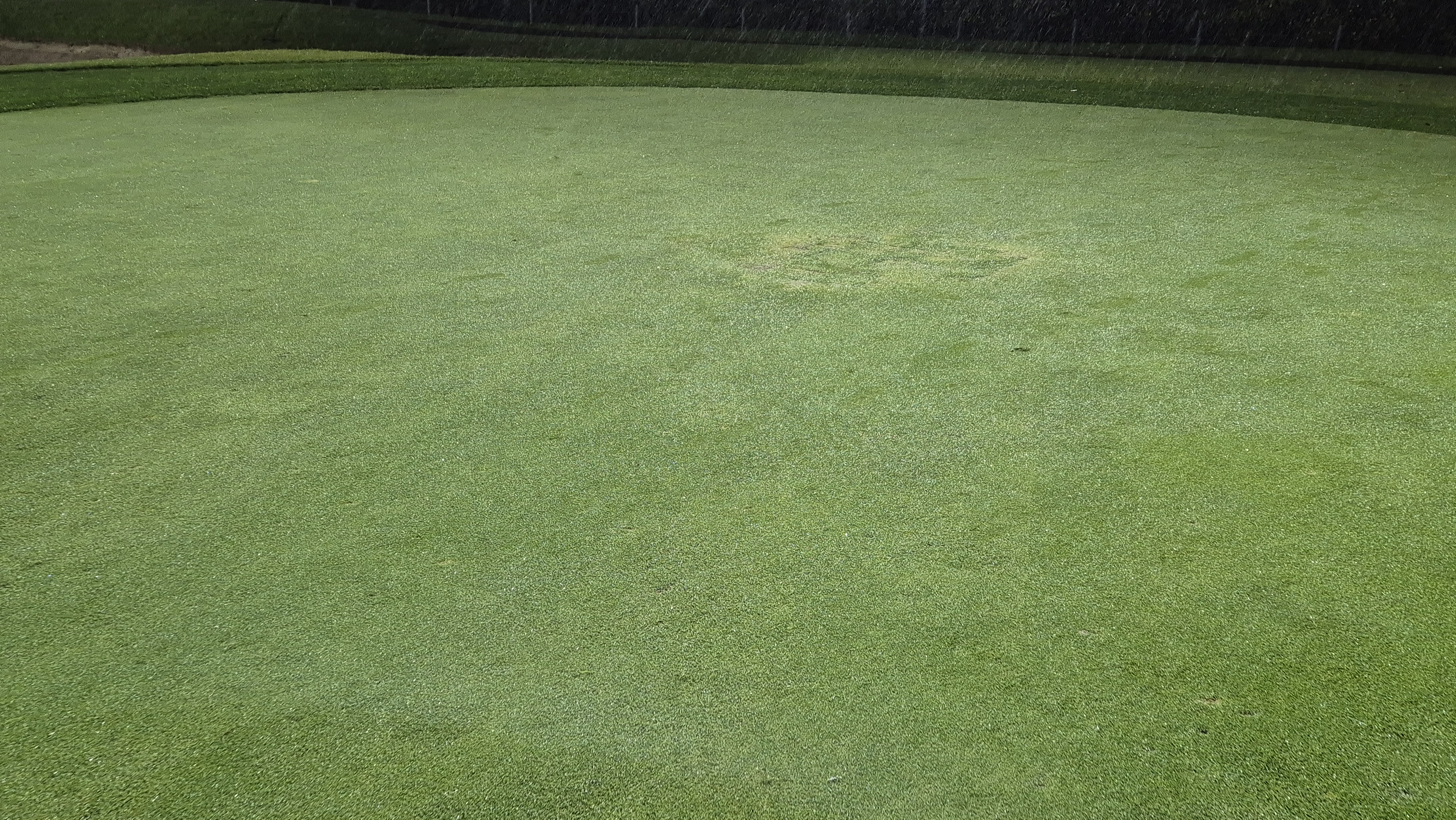 블루원용인cc 그린 관리 상태