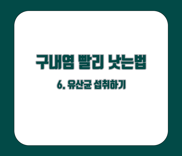 구내염 빨리 낫는법 - 유산균 섭취하기