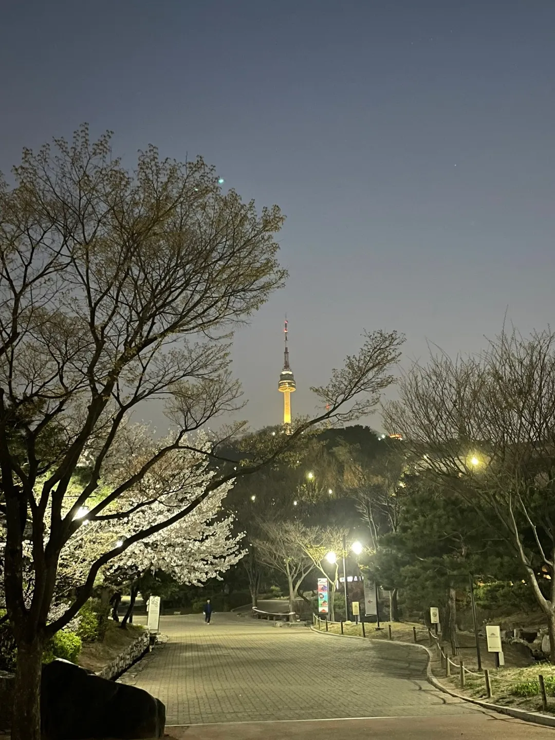남산골-공원-야경