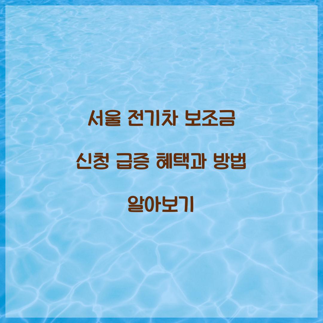 서울 전기차 보조금