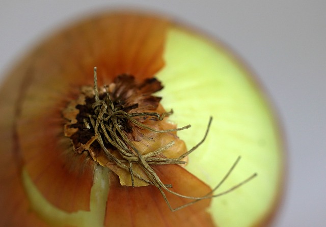 허리 협착증 증상 9