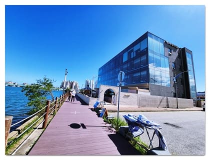 속초본점 청초수물회