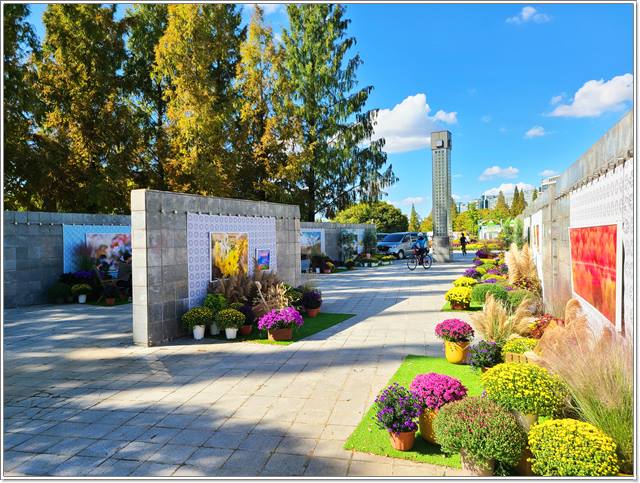 고양 가을꽃축제