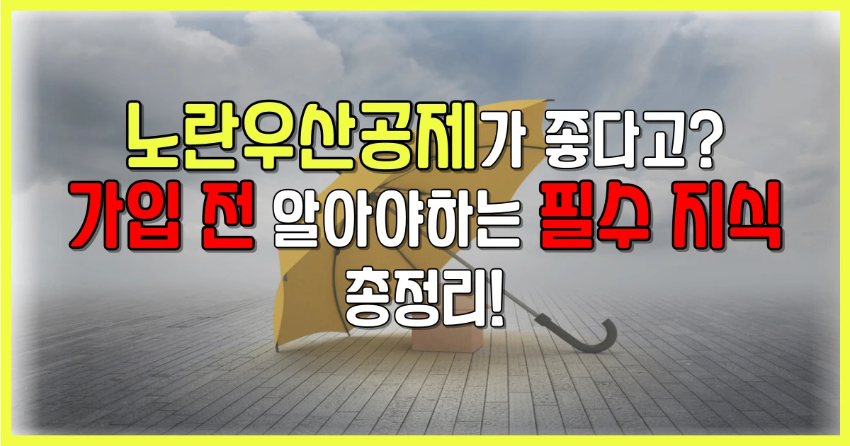 노란우산공제