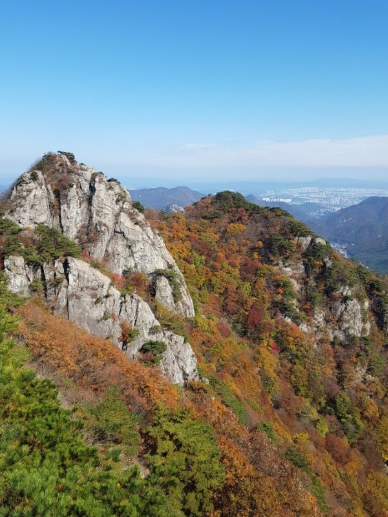 2025 계룡산 단풍 절정 시기 &amp; 등산코스 추천 안내 ❘ 충남 가을 명소