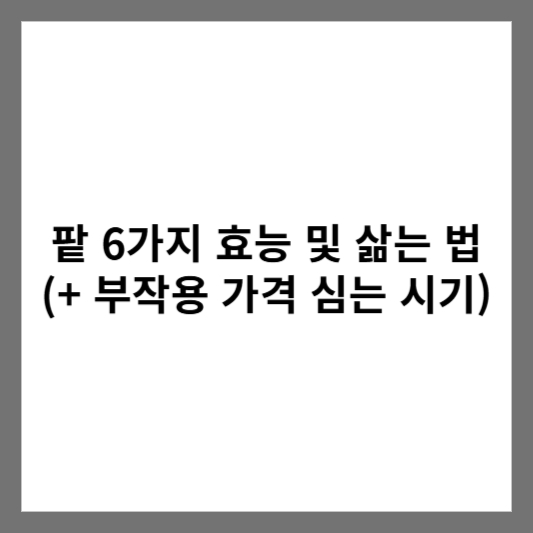 팥 6가지 효능 및 삶는 법 (+ 부작용 가격 심는 시기)