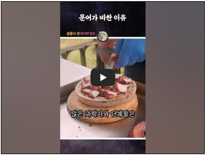 시사/상식 유튜브 채널 순위 TOP 10 1