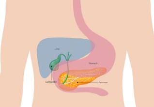 배에서-소리나는-이유-5