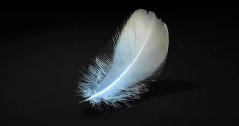 패딩 우모량과 보온성의 관계, 덕다운과 구스다운