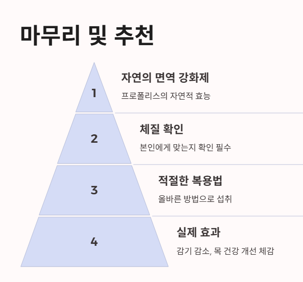 마무리 및 추천