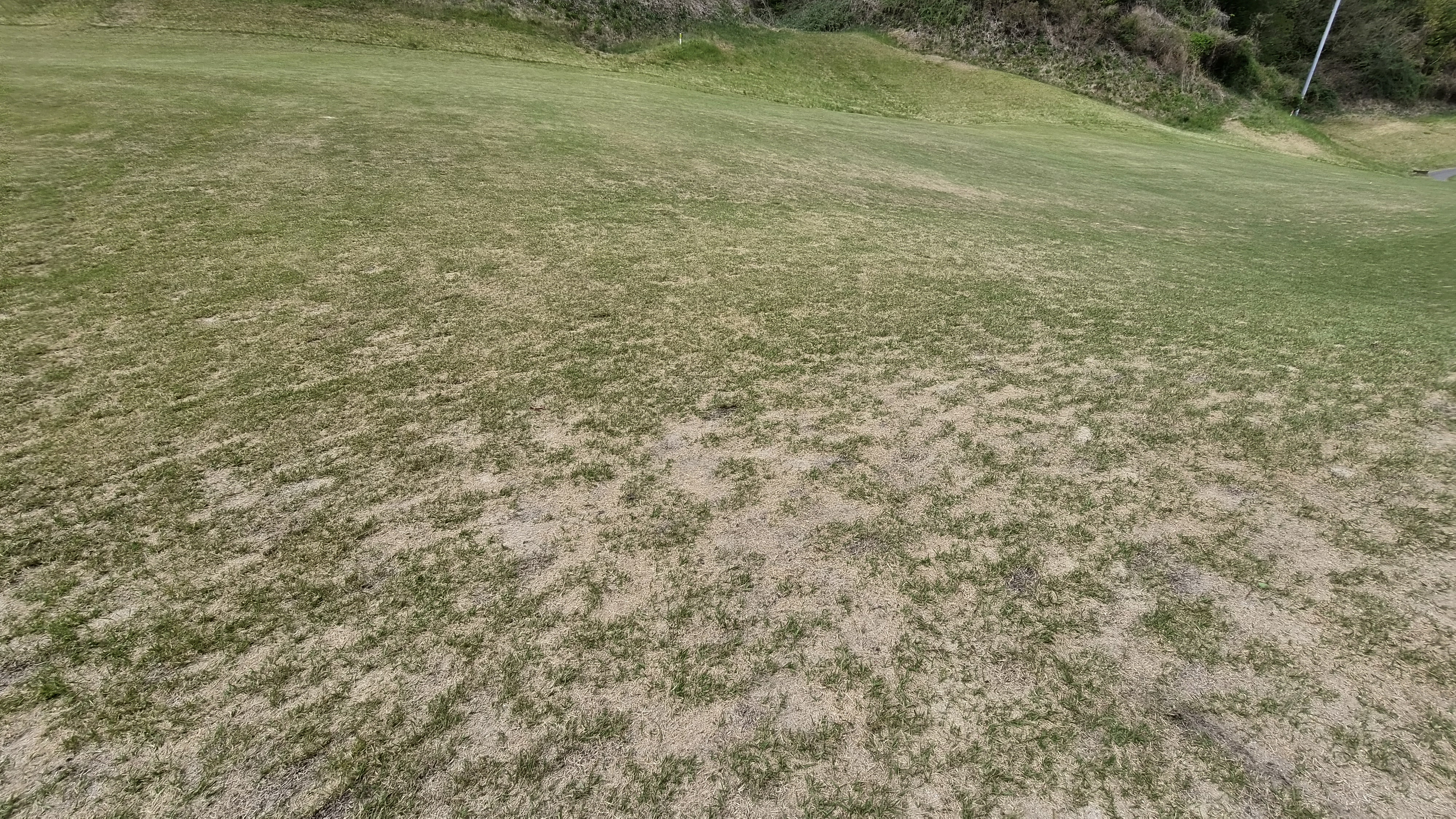 포웰cc 프린세스 라운드 후기