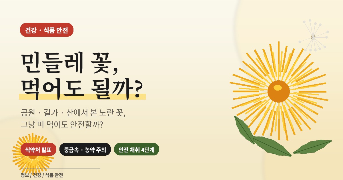 민들레 꽃 먹어도 될까? 공원&middot;길가&middot;산에서 본 노란 민들레 꽃의 식용 가능 여부와 도로변 채취 시 중금속&middot;농약 주의사항을 정리한 건강 정보 썸네일