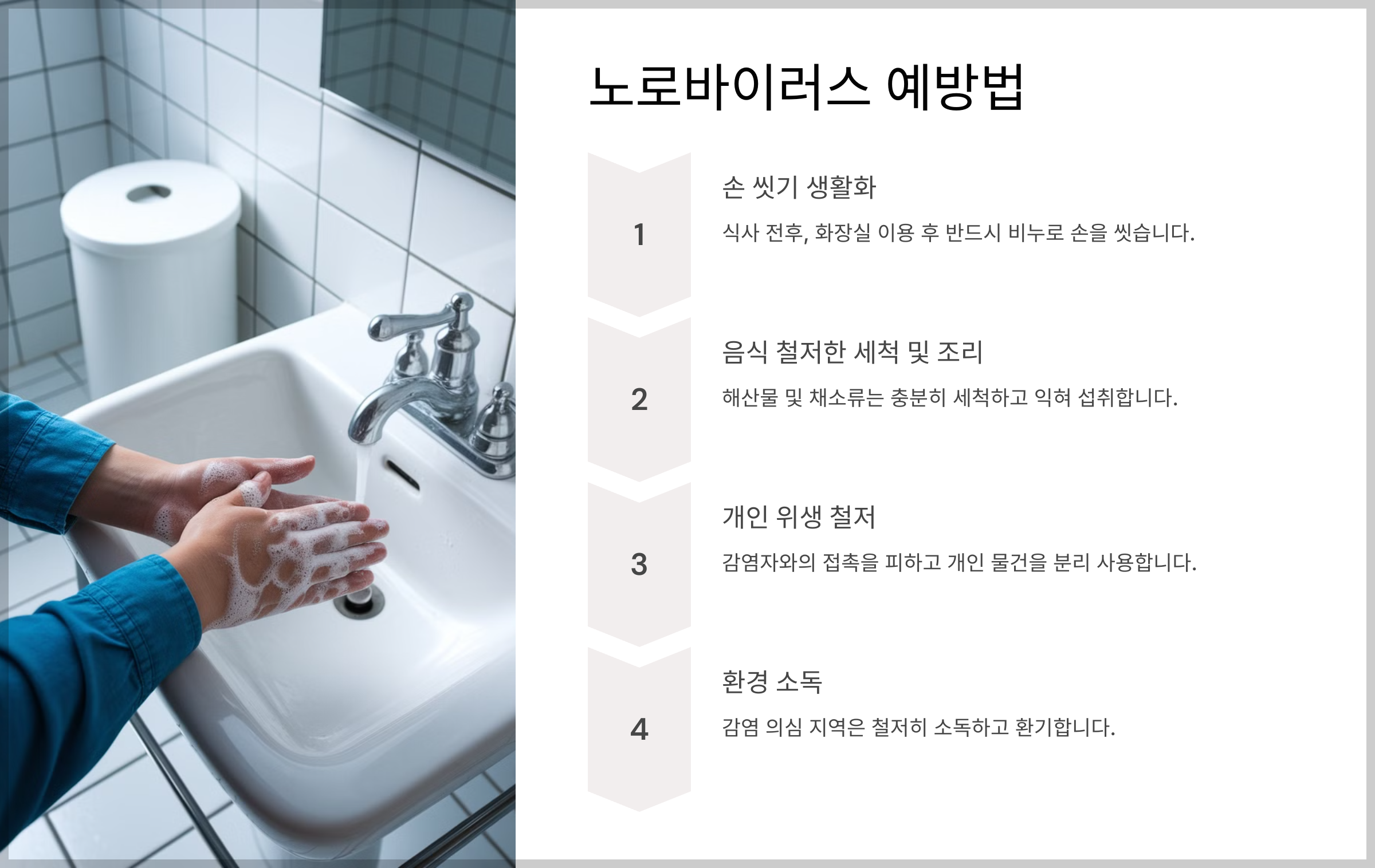 노로바이러스 감염 예방