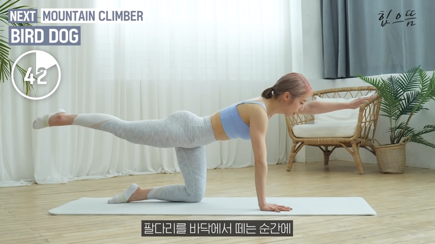 뱃살빼는최고의운동법