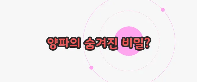양파 효능 지금부터 알아볼까요