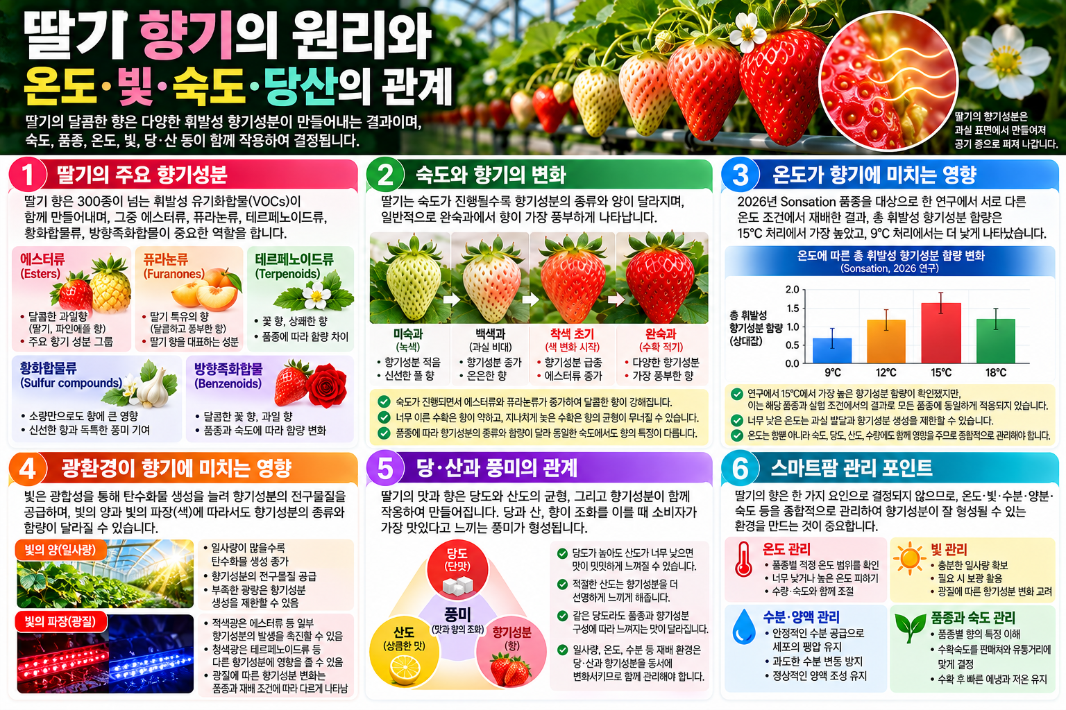 딸기 향기의 원리와 휘발성 향기성분&middot;숙도&middot;온도&middot;광환경의 관계
