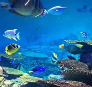 차량물에잠기는꿈모음