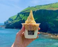 제주 2박 3일 핫플레이스