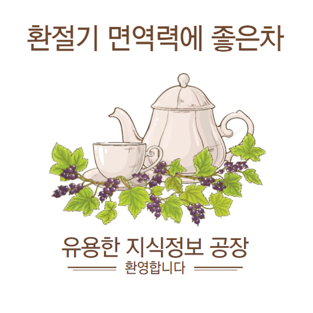 환절기 면역력에 좋은차 1