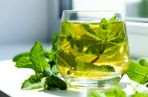 민트 차