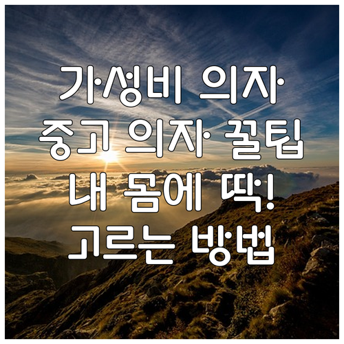 가성비 중고 의자, 내 몸에 맞게 고