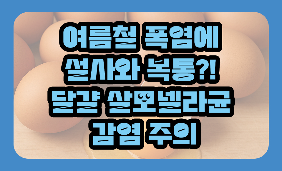 여름철 폭염에 설사와 복통?! 달걀 살모넬라균 감염 주의