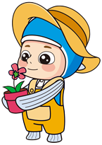 인제가을꽃축제 살펴보기 1