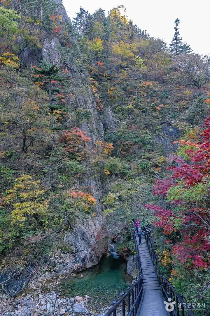 설악산 단풍