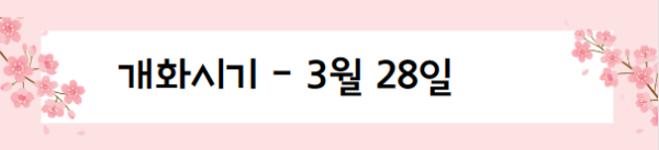 봄꽃 여행지