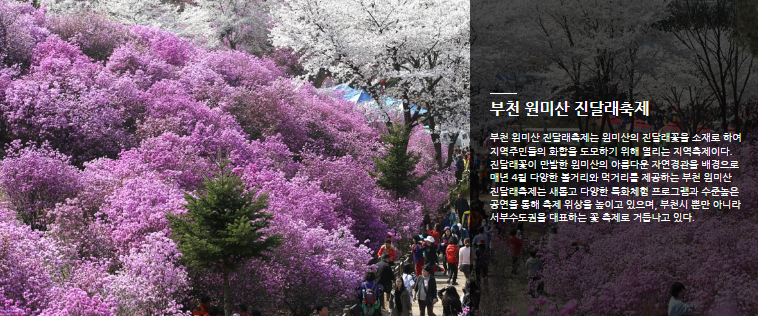 부천 원미산 진달래축제 기간