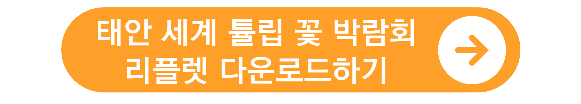 태안 튤립 축제