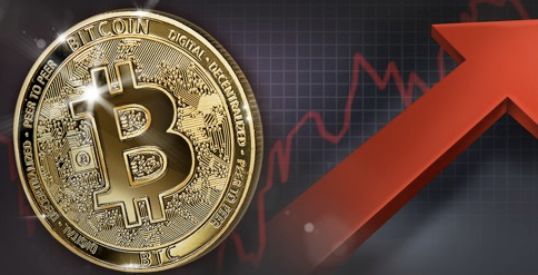 보인부담금-환급금