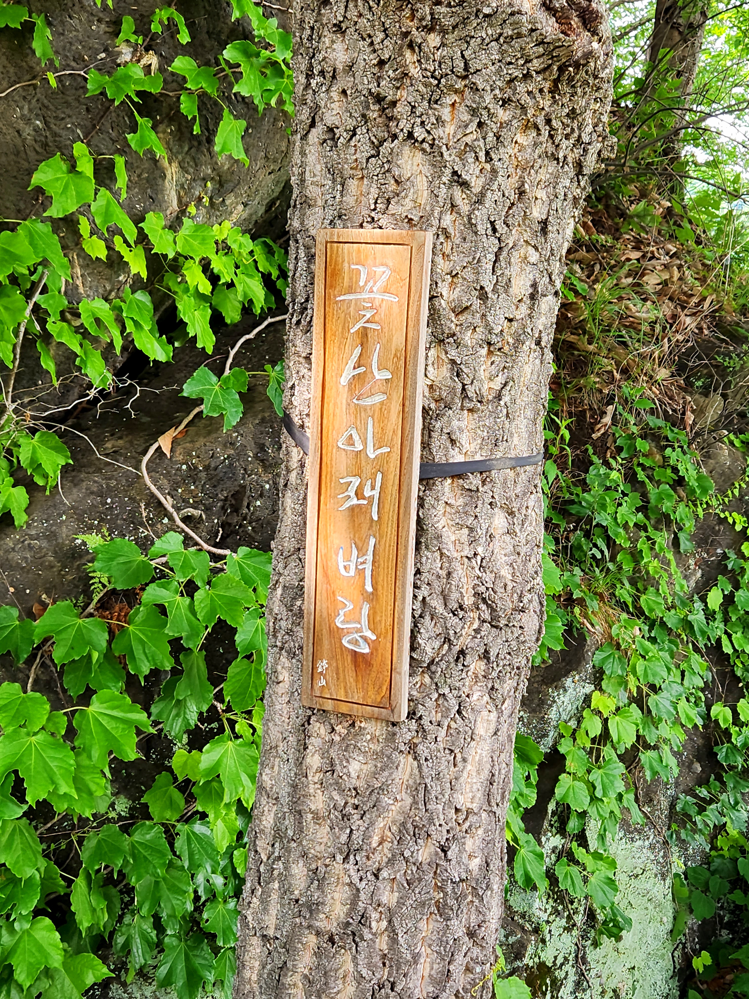 대전 세종 근처 가볼만한곳 수생식물학습원