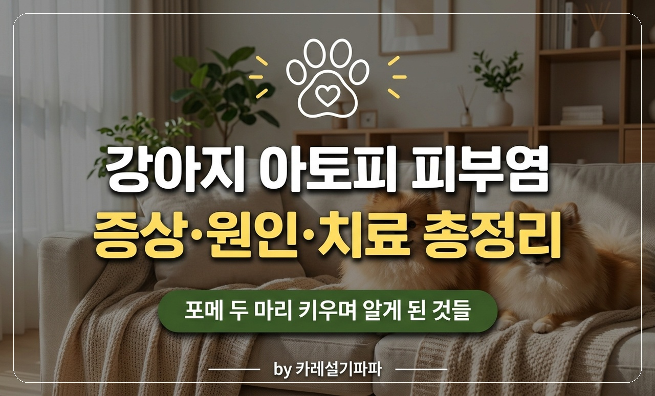 포메 아토피 피부염 썸네일