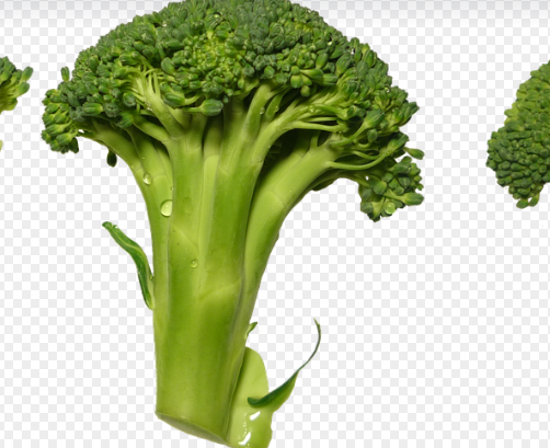 항암 슈퍼푸드 브로콜리