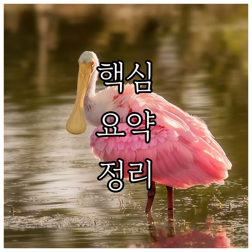 내 차 건강 지키기! 자동차 정기 검