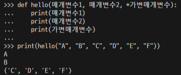 가변 매개변수