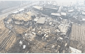 경북 산불피해 재난지원금 100% 받는 법(신청기간, 신청방법, 금액)