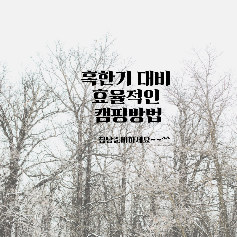 빈슨메시프침낭