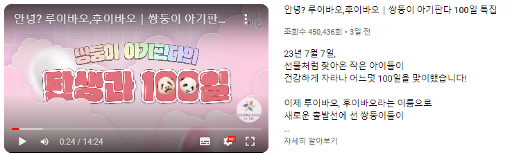 안녕? 루이바오,후이바오｜쌍둥이 아기판다 100일 특집