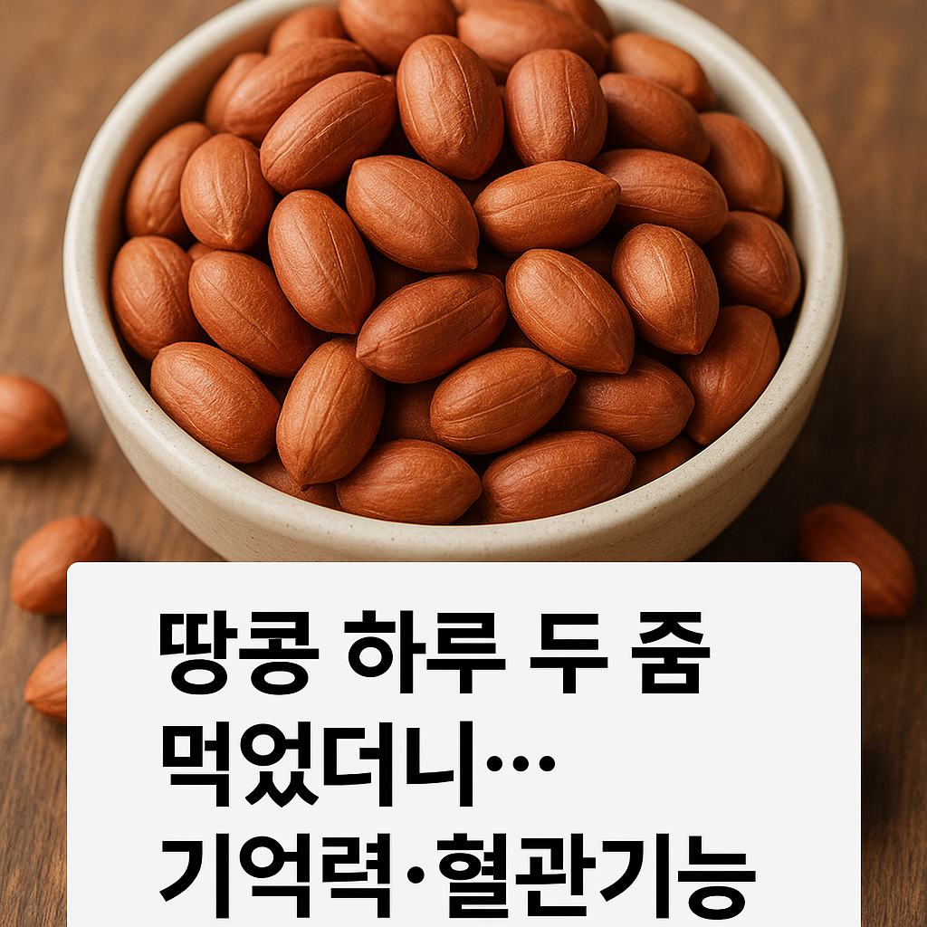 땅콩 하루 두 줌 섭취로 기억력과 뇌혈류가 개선되는 효과를 표현한 건강 인포그래픽 이미지