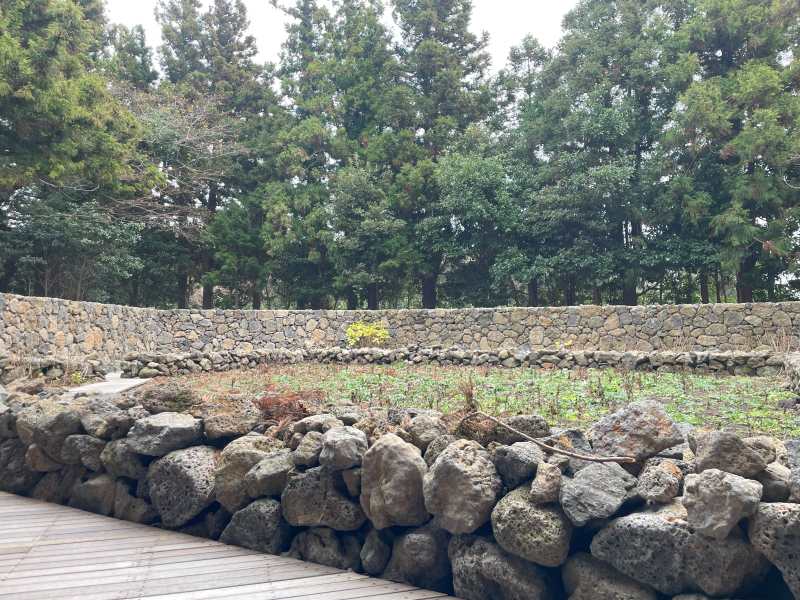 제주-테라로사-정원