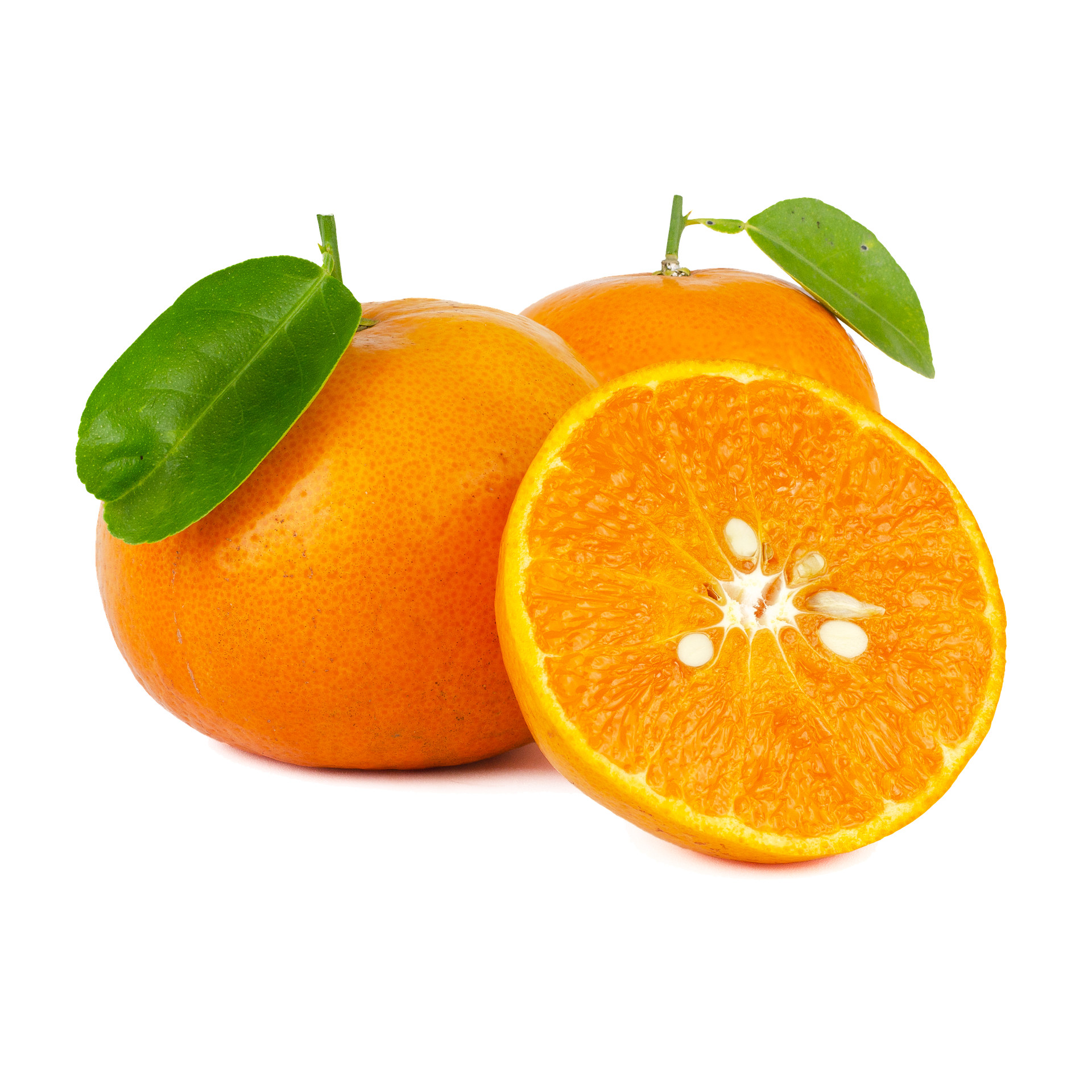 전자레인지 청소법 냄새제거 귤 청소하기