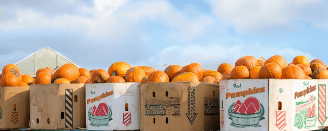 위에 좋은 음식