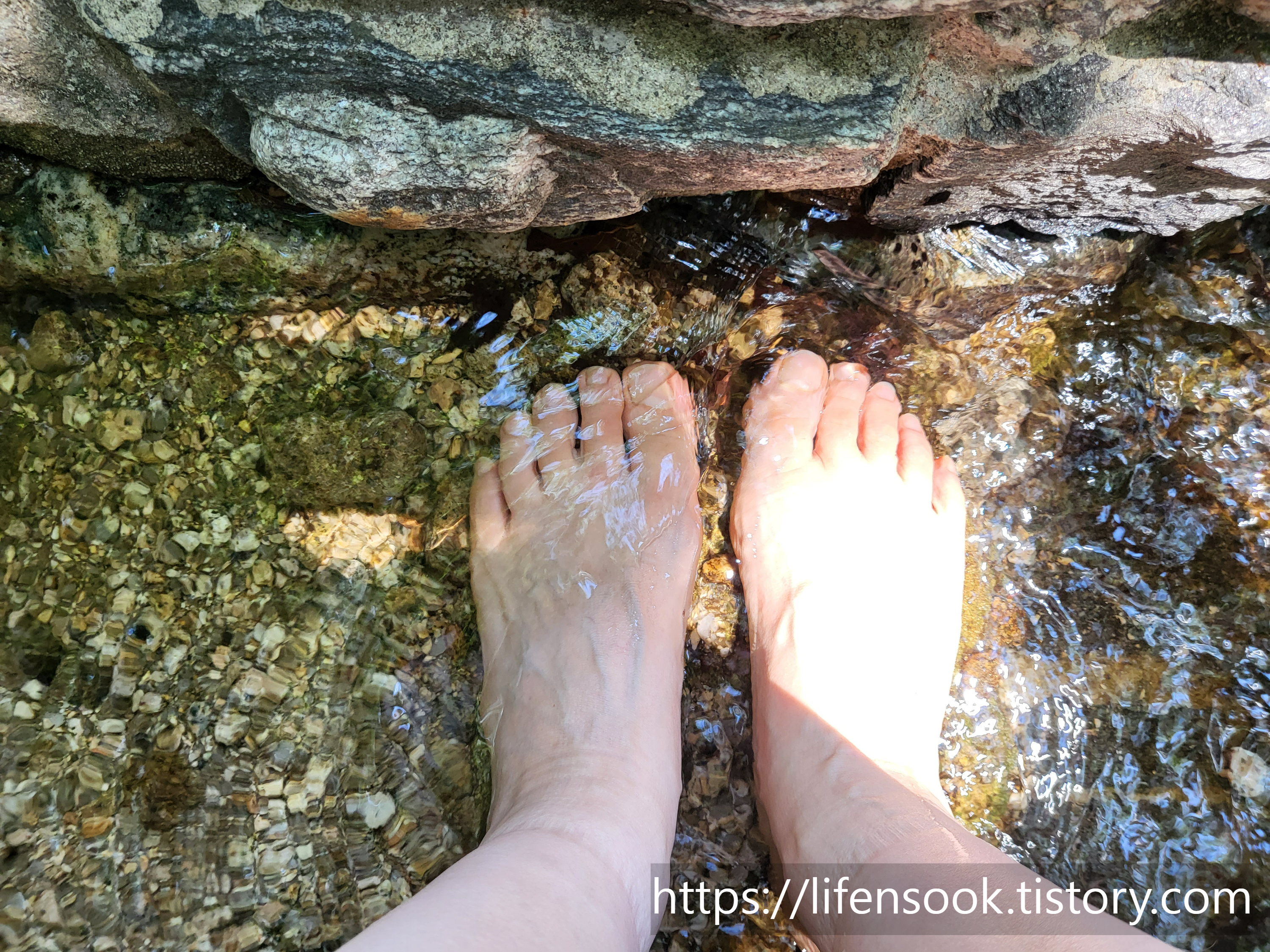 수암전 매점앞 계곡물