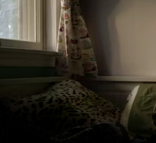 멜라토닌 부작용 섭취방법