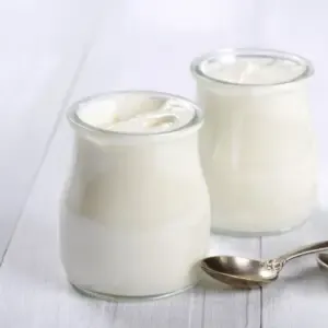 요거트