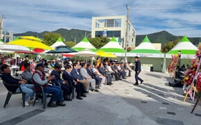 연천 고려인삼축제