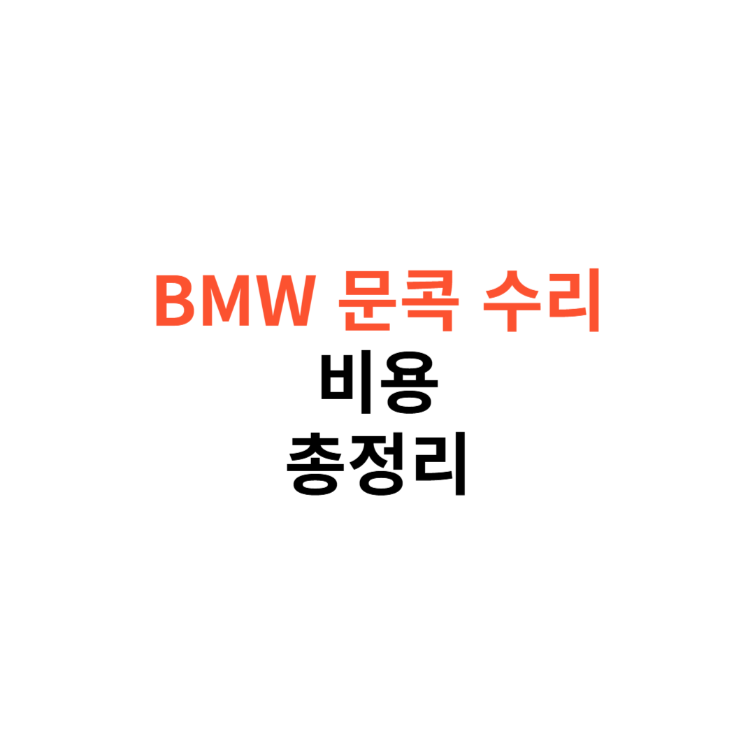 BMW 문콕 수리