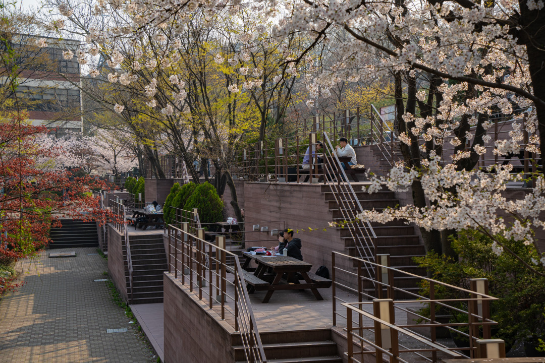 아주대학교 나들이